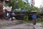 Væltede træer i Yangon. Det frygtes, at ødelæggelserne i mindre byer og landsbyer, hvor indbyggerne bor i mindre solide huse, har været værre. Foto fra Voice of Burma 