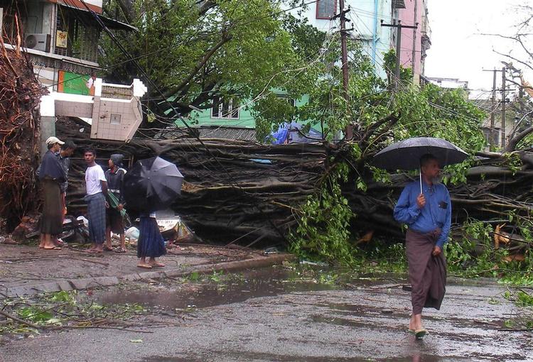 Væltede træer i Yangon. Det frygtes, at ødelæggelserne i mindre byer og landsbyer, hvor indbyggerne bor i mindre solide huse, har været værre. Foto fra Voice of Burma 