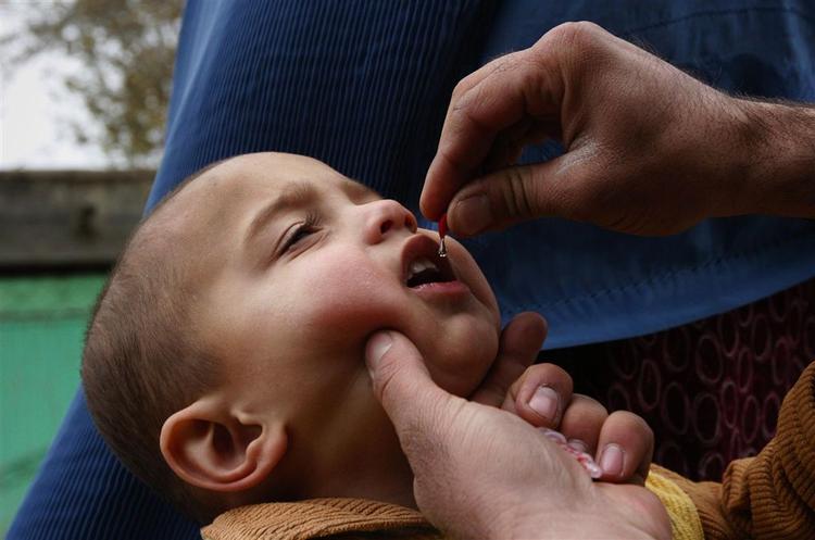 Afghansk barn får polio-vaccine. 