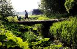 Økologien får nu en vitaminindsprøjtning på 56 millioner kroner, så økologiske landbrug som f.eks.Brinkholm ved Karise på Stevns kan være med til at brande Danmark i udlandet. Arkivfoto: Thomas Borberg 