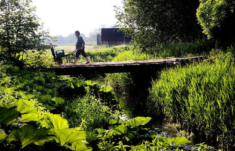 Økologien får nu en vitaminindsprøjtning på 56 millioner kroner, så økologiske landbrug som f.eks.Brinkholm ved Karise på Stevns kan være med til at brande Danmark i udlandet. Arkivfoto: Thomas Borberg 