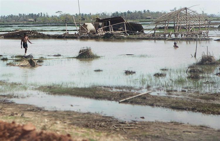 Endnu et oversvømmet område i Myanmar, hvor ingen har overskud til at tænke på dyrene. Men det er lige så vigtigt at yde nødhjælp til køer som til mennesker. For hvis dyrene forsvinder, er der endnu mindre føde til de overlevende, og det vil uvægerligt betyde flere døde, vurderer WSPA. 