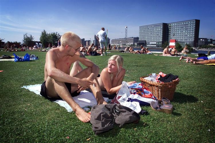 Havneparken på Islands Brygge er en af den danske hovedstads grønne oaser. 