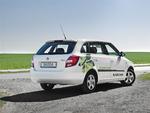 De mest økonomiske modeller hos Skoda hedder for fremtiden Green Line - her ses Fabia. Den bliver leveret uden klistermærker. Foto: Skoda 