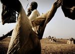 Virkelighed i darfur. Det er  forfatterens store fortjeneste, at han får læseren til at forstå, at det er virkelighed, dette her. Bogens omslag prydes bl.a. af dette foto fra flytningelejren Kalma, som  i april 2005, da billedet blev taget,  rummede mellem 100.000 og 150.000 fordrevne. Foto: Jan Grarup 