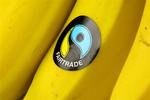 Hvad dækker fairtrade mærket over, og  hvorfor er der masser af forskellige øko-mærker? Tjek guider dig til de mærker, som du kan stole på. 