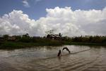 I mudder og vandmasser ligger der mange døde dyr i Irrawaddy Deltaet. 