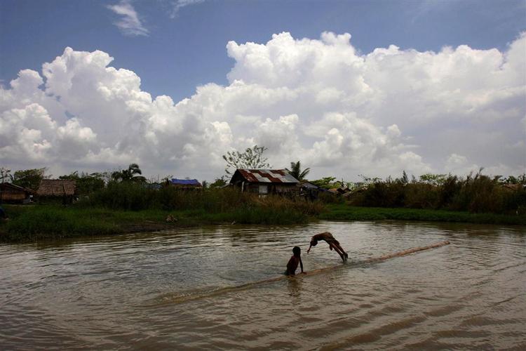 I mudder og vandmasser ligger der mange døde dyr i Irrawaddy Deltaet. 