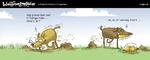 wulff_31_05_2008