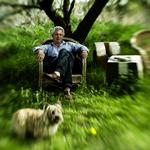 Jon Bang Carlsen har valgt at slå sig ned på en sjællandsk  naturgrund, »fordi det minder mig om Mols Bjerge, hvor jeg kom meget som barn. Og så fordi der ikke sker noget her. Ingenting overhovedet«.  Foto: Jonas Pryner Andersen 