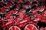 Københavns bycykler skal gøres klar til sæsonstart, men 700 af dem er væk. Kommunen eftrlyser hjælp til at finde dem. 