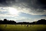 Fælledparken benyttes hvert år af omkring 11 millioner mennesker. 