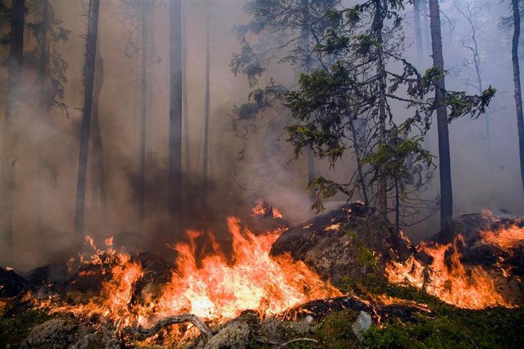 To brande hærgede Hälsingland nord for Stockholm i løbet af ugen. Nu er en ny brand brudt ud i samme område. 