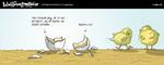 wulff_11_06_2008