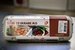 Skrabeæg lægges af høns, som lever deres liv i store flokke. Smagen er ikke langt fra smagen af buræg. 