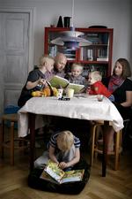 Økonomitjek