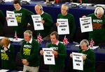 Medlemmer af Europaparlamentet beder toplederne om at respektere det irske nej til EU-traktaten. 