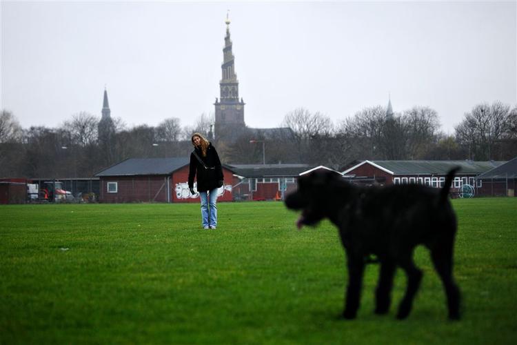 Vinderprojektet om at bygge på Kløvermarken skal laves om, mener en gruppe Amager-borgere. 