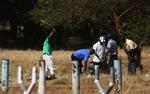 Medlemmer af en af Mugabes militser banker løs på folk, der ville til oppositionens møde i Harare i dag. 