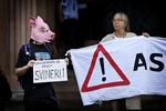 Foran Københavns Byret demonstreres der mod tvangsudsendingen. Manden med grisehovedet proklamerer på sit skilt, at »udvisninger er noget svineri«. 