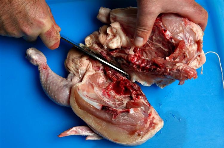 Myndighederne har endnu ikke været i stand til at finde smittekilden til de salmonella-udbrud, som tusinder af danskere i øjeblikket er ramt af. Men kødprodukter mistænkes. Arkivfoto. 