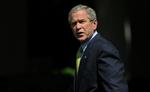 Bush