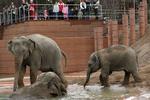 Zoo