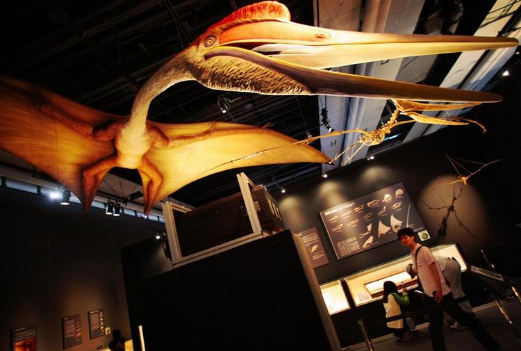 Dinosaurerne har haft farver, er forskerne sikre på. Nu er danske forskere også ved at nærme sig sandheden om, hvilke farver det er. Dinoen her er en quetzalcoatlus northropi. 