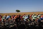 TOUR DE FRANCE CYCLING 