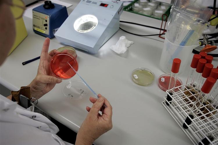 Sammen med Fødevarestyrelsen arbejder Statens Serum institut i øjeblikket på at finde ud af, hvilke fødevarer, der er årsag til udbruddet. Men endnu er man ikke kommet nærmere smittekilden. Dog mener man fortsat, at det er et kødprodukt, sandsynligvis svinekød. 