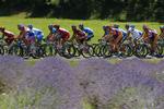 TOUR DE FRANCE CYCLING 