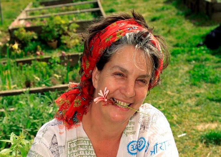 Camilla Plum optræder i øjeblikket på DR2 med programmet 'Boller af stål', hvor hun bruger mange af sin egen gårdbutiks produkter. 