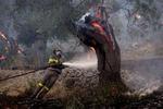 APTOPIX GREECE FIRES