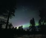 Nordlys over de finske grantræer i Lapland. Nu afslører en gruppe forskere, at nord- og sydlys opstår ved eksplosioner af magnetisk energi. 