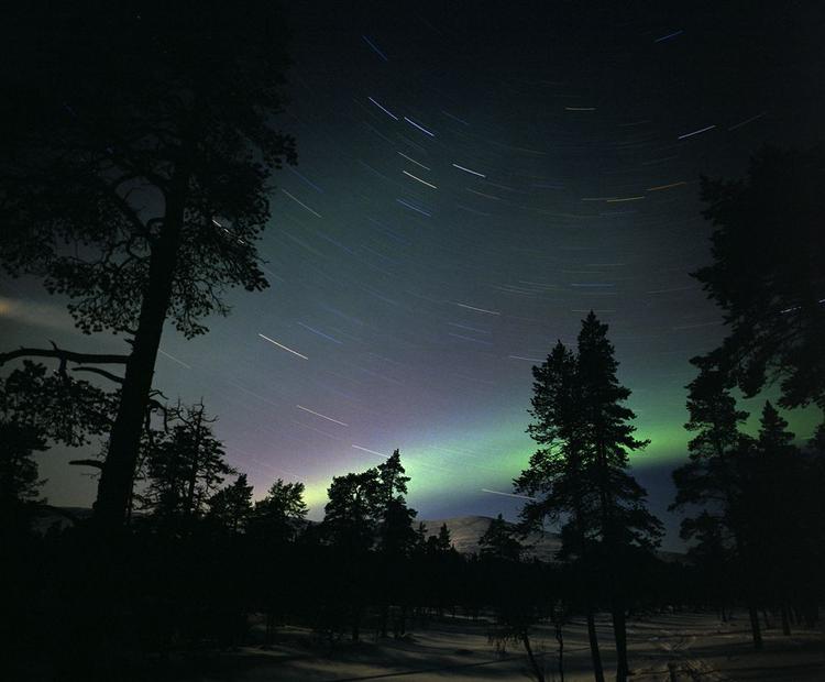 Nordlys over de finske grantræer i Lapland. Nu afslører en gruppe forskere, at nord- og sydlys opstår ved eksplosioner af magnetisk energi. 