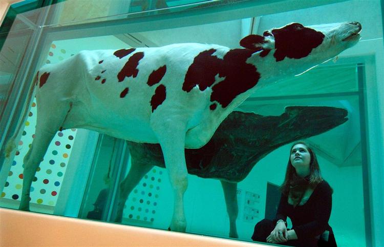 Et af Damien Hirsts tidligere formaldehyd-værker, 'Mother and Child Divided', som vandt Turnerprisen i 1995 (arkivfoto). 
