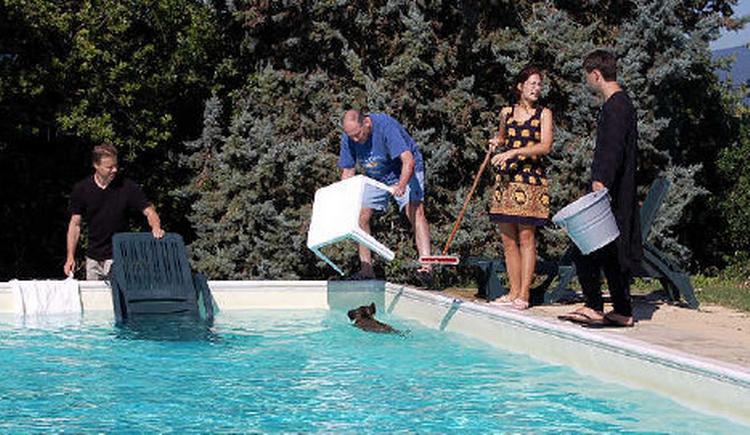 Hvordan får man et vildsvin op af feriehusets pool? Vi iler med en løsning: De skal bruge en liggestol, en kost, en spand og en modig tjekke med et havebord. Privatfoto. 