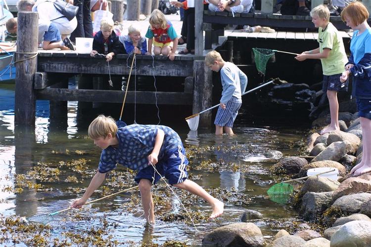 Fjordens dag. Flere steder i landet afholdes der markeder og fester til ære for fjordene. Den 14. september er turen kommet til Odense, Kerteminde og Mariager. 