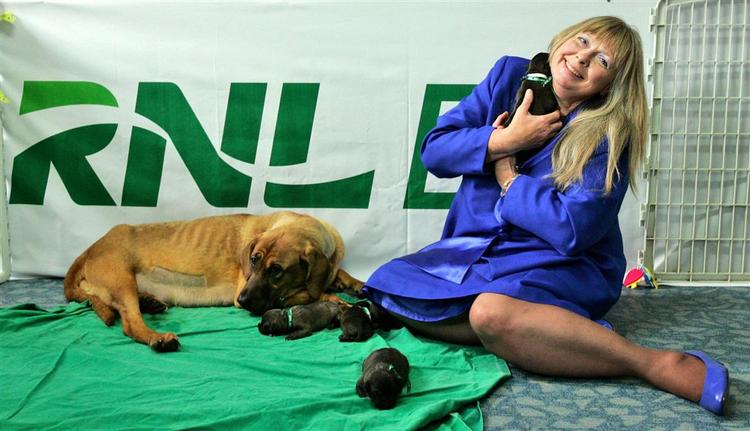 Hundeelskeren, der fik fem klonede pitbull-hvalpe, blev for 31 år siden verdensberømt for at tvinge mormon til sex. 