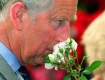 BRITAIN ROYALS FLOWER SHOW