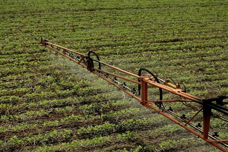 Landbruget har ikke formået at nedsætte brugen af pesticider. Nu blander politikerene sig og vil indføre tvang. Arkivfoto. 