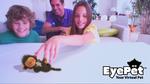 Næste udgave af kameraspillene EyeToy går på at lege med et virtuelt kæledyr på skærmen. 