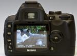 Nikon D60 2
