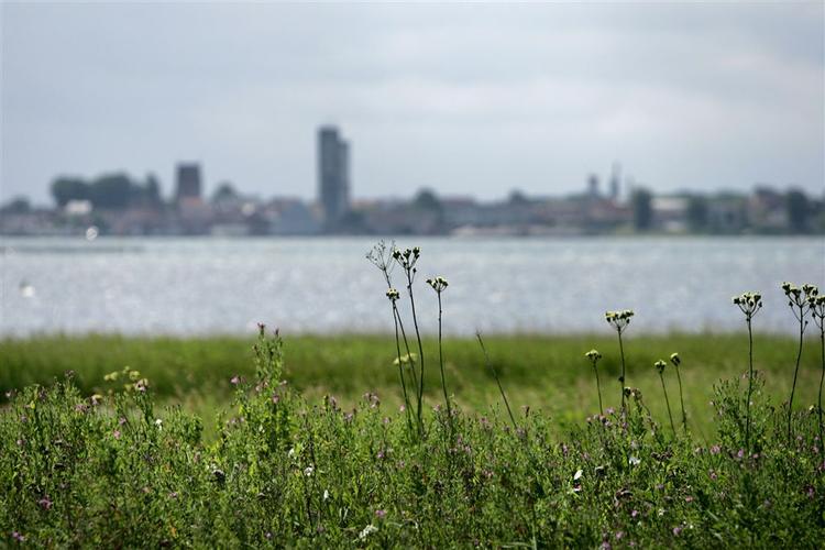 På papiret er 10 procent af det danske land stadig ukendt. Så der er god mulighed for at gå på opdagelsesrejse i efterårsferien. 