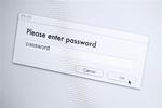 En ny USB-nøgle med password er kommet på markedet. 