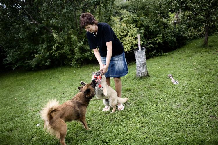 Efter barske trusler måtte Marianne Hertz opgive at arbejde som socialrådgiver. Angsten er blevet en livsledsager, så familien vil have hund i al fremtid. 
