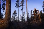 Jagt i Småland
