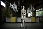Skelettet bliver stærkere af høj vægt - men mandre andre dele af kroppen har bedst af en moderat vægt. 