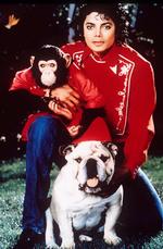 Michael Jackson med chimpansen Bubbles samt en bulldog. 