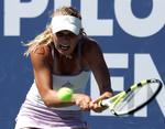 New Haven Tennis